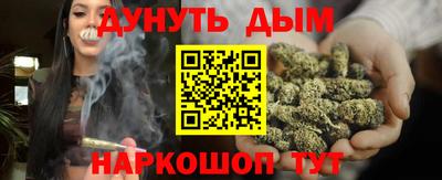 стафф Братск