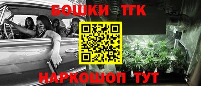 стафф Братск