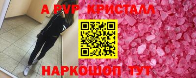 стафф Братск