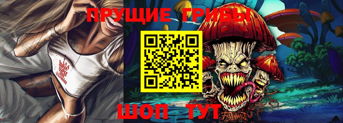 Псилоцибиновые грибы Psilocybe Домодедово